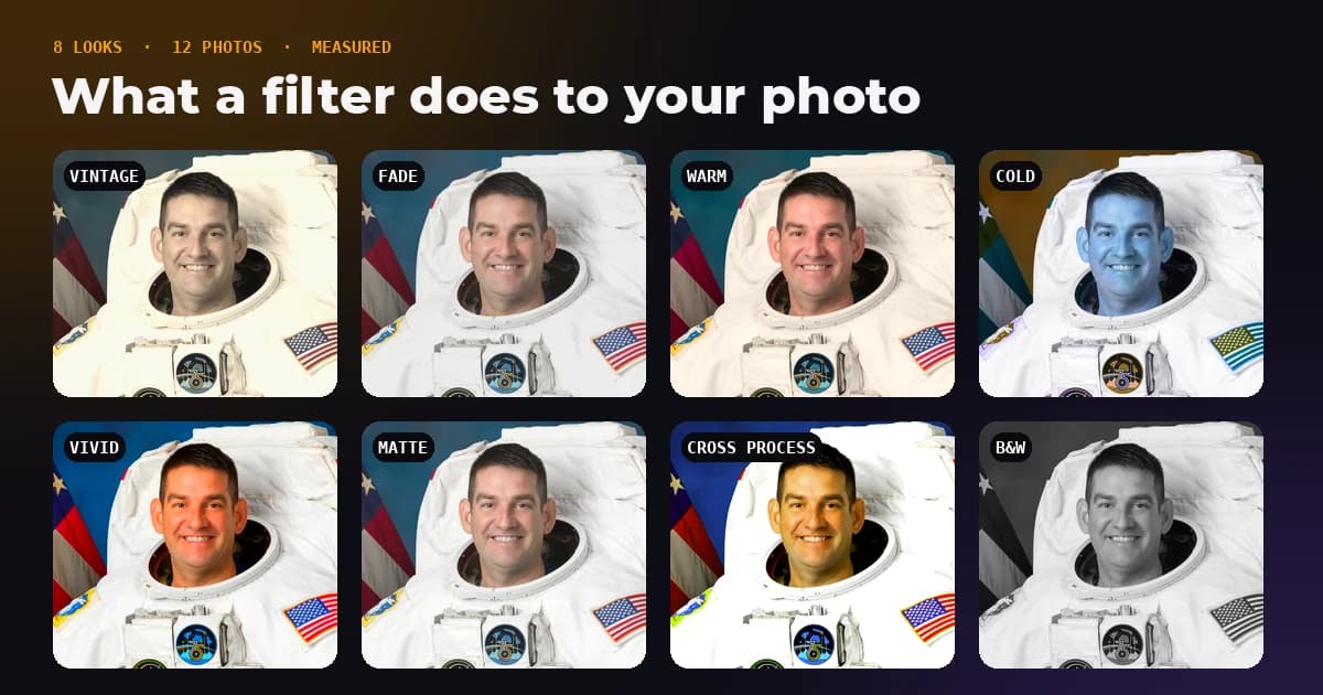 The same astronaut portrait shown eight times with a different filter look on each: vintage, fade, warm, cold, vivid, matte, cross process and black and white